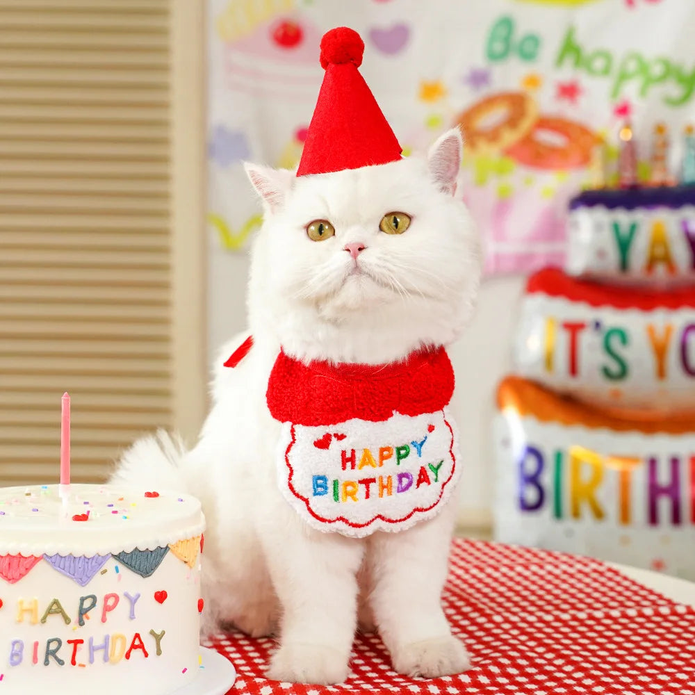Dog Birthday Bandana & Party Hat Set