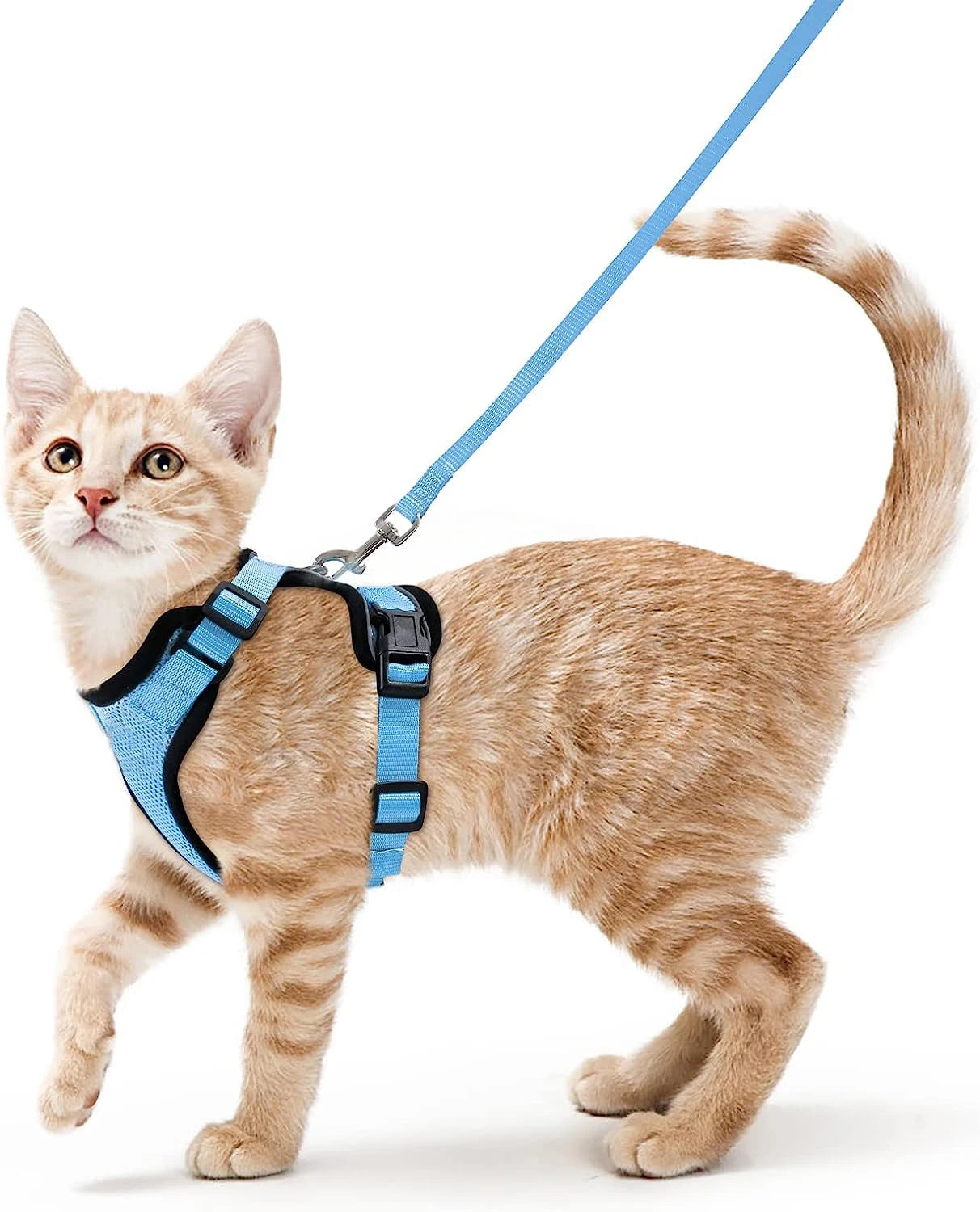 Soft Escape-Proof Cat Harness & Leash
