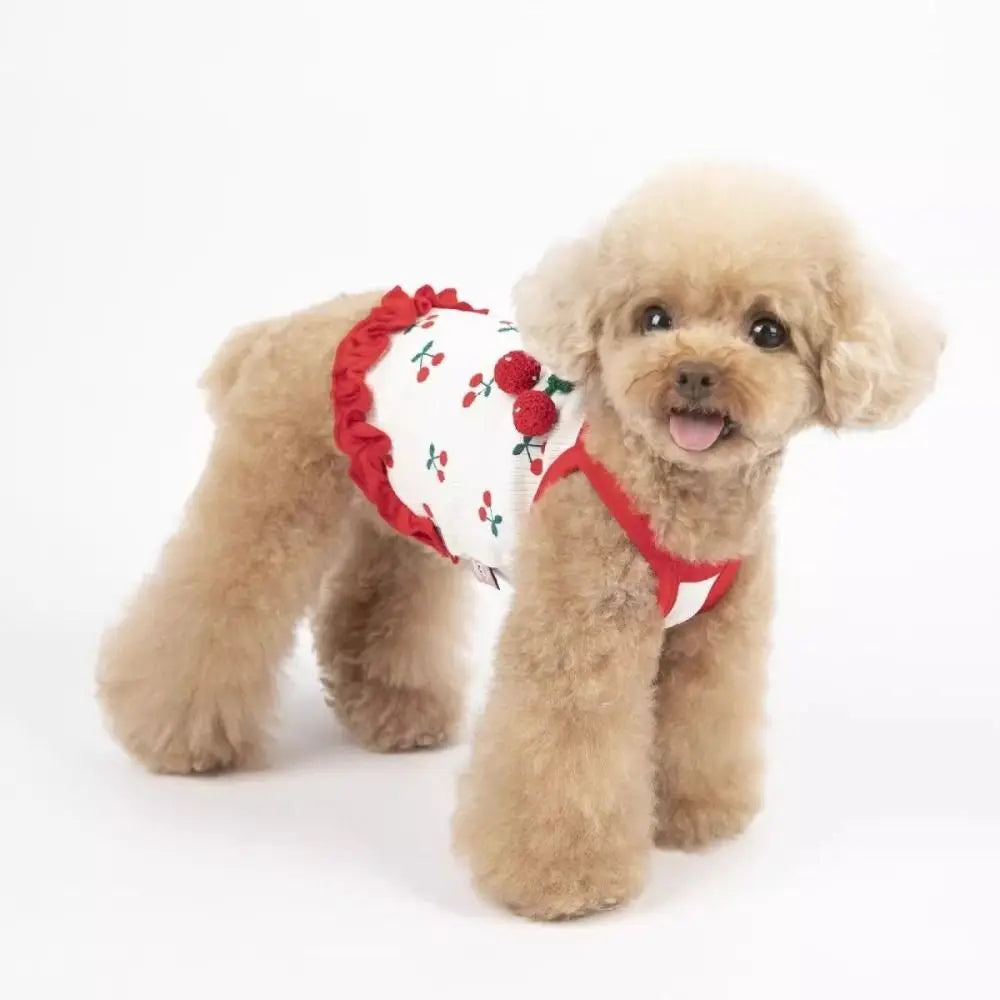 Soft Summer Strap Dog Vest