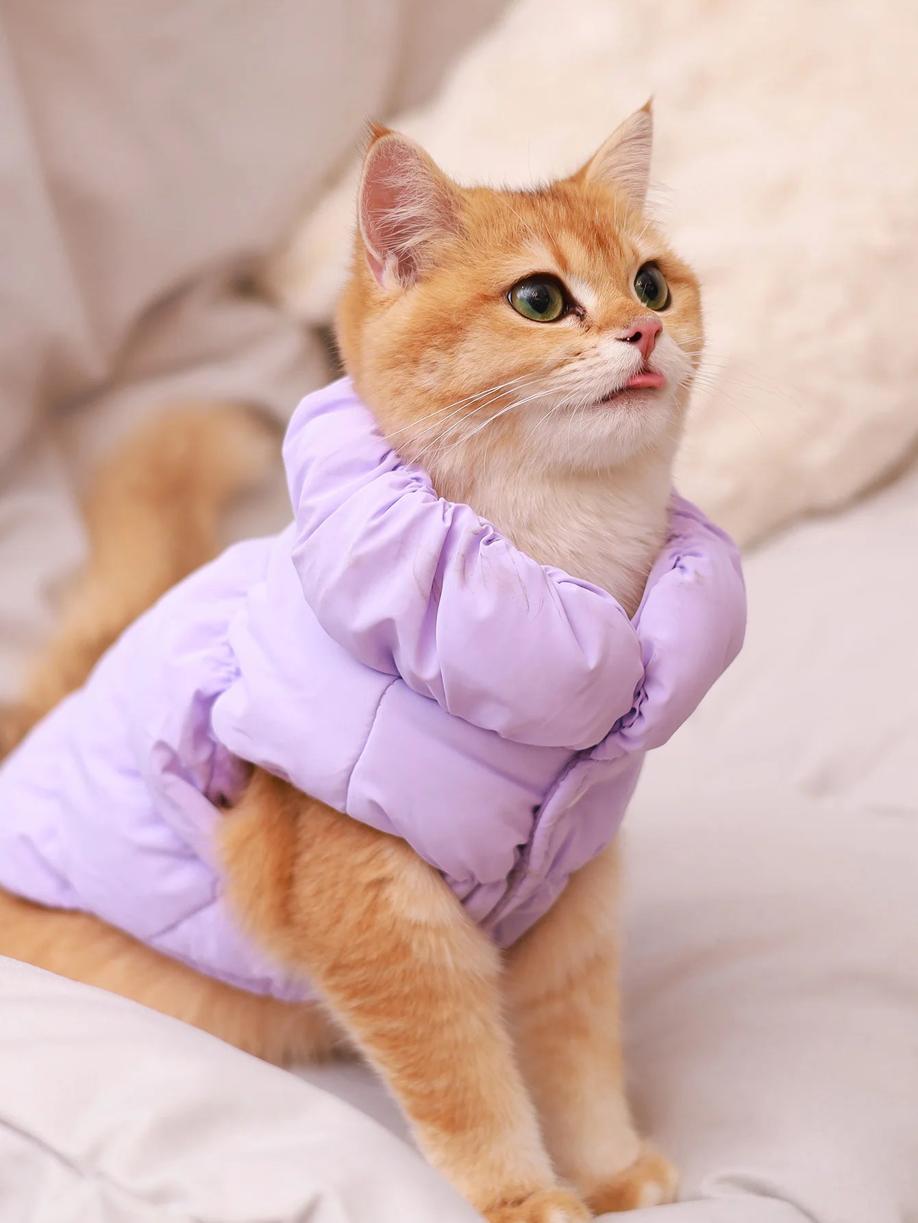 3-Layer Thick Winter Dog Coat