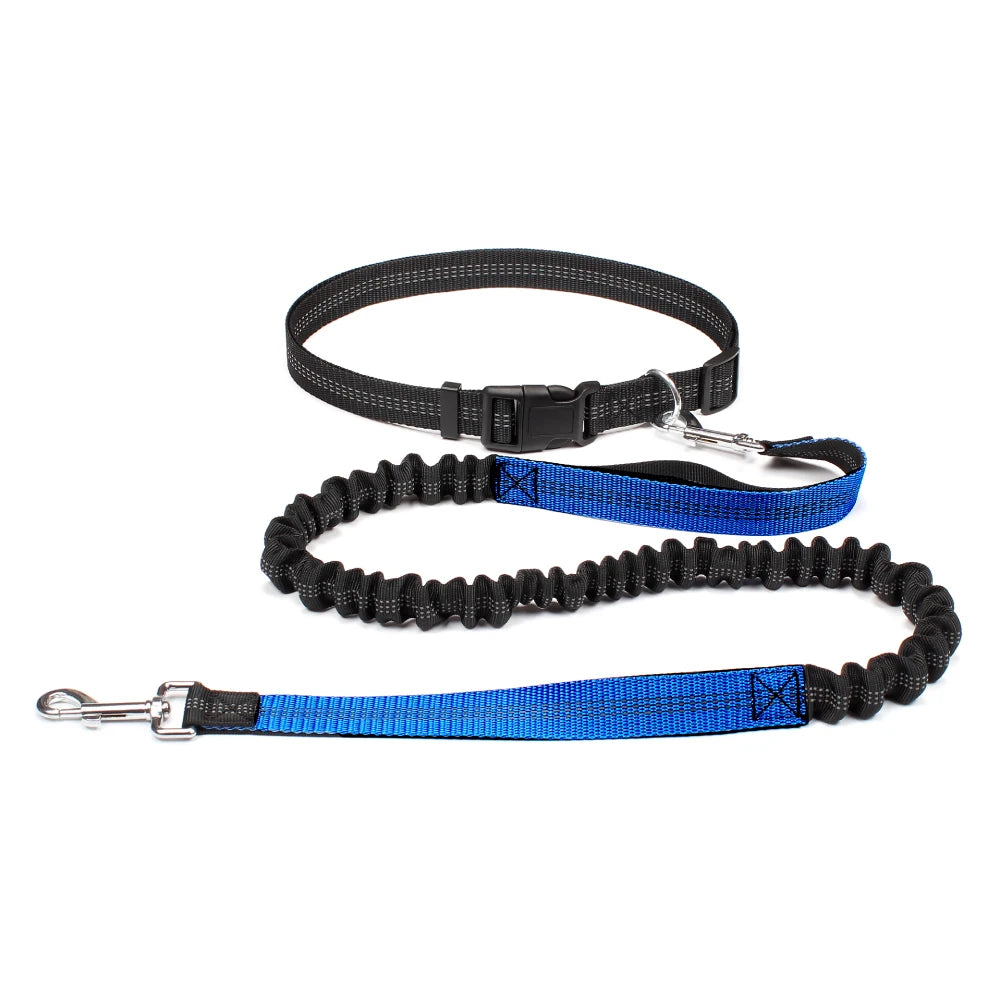 Hands-Free Dog Leash with Waist Belt