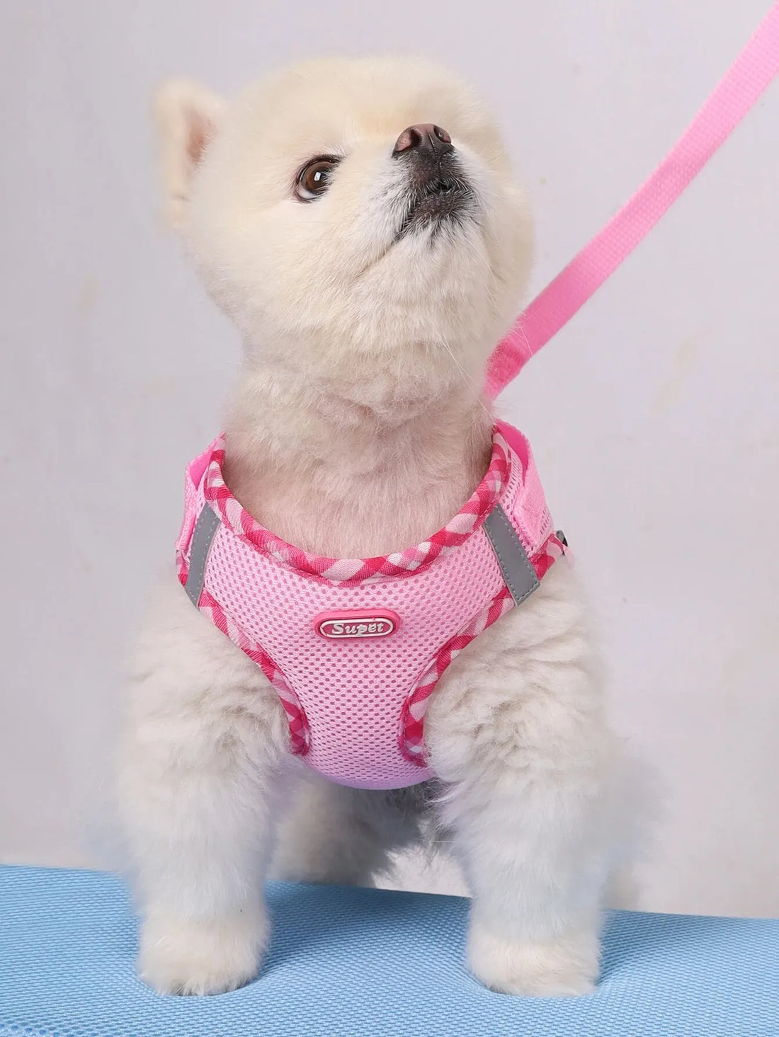 Dog wearing an adjustable anti-pull harness