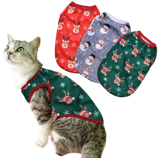 Pet wearing a festive costume vest