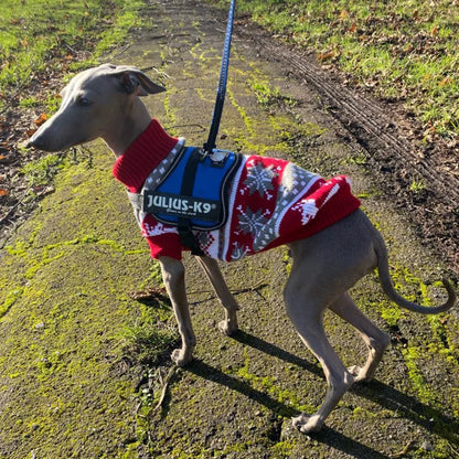 Cozy Knit Dog Sweater