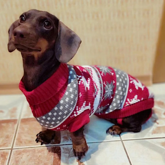 Cozy Knit Dog Sweater
