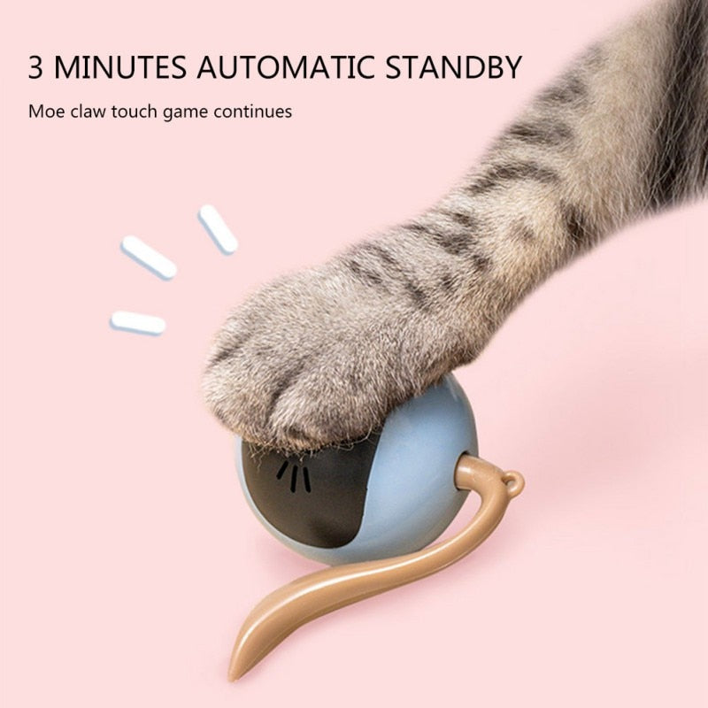 Smart Cat Toy