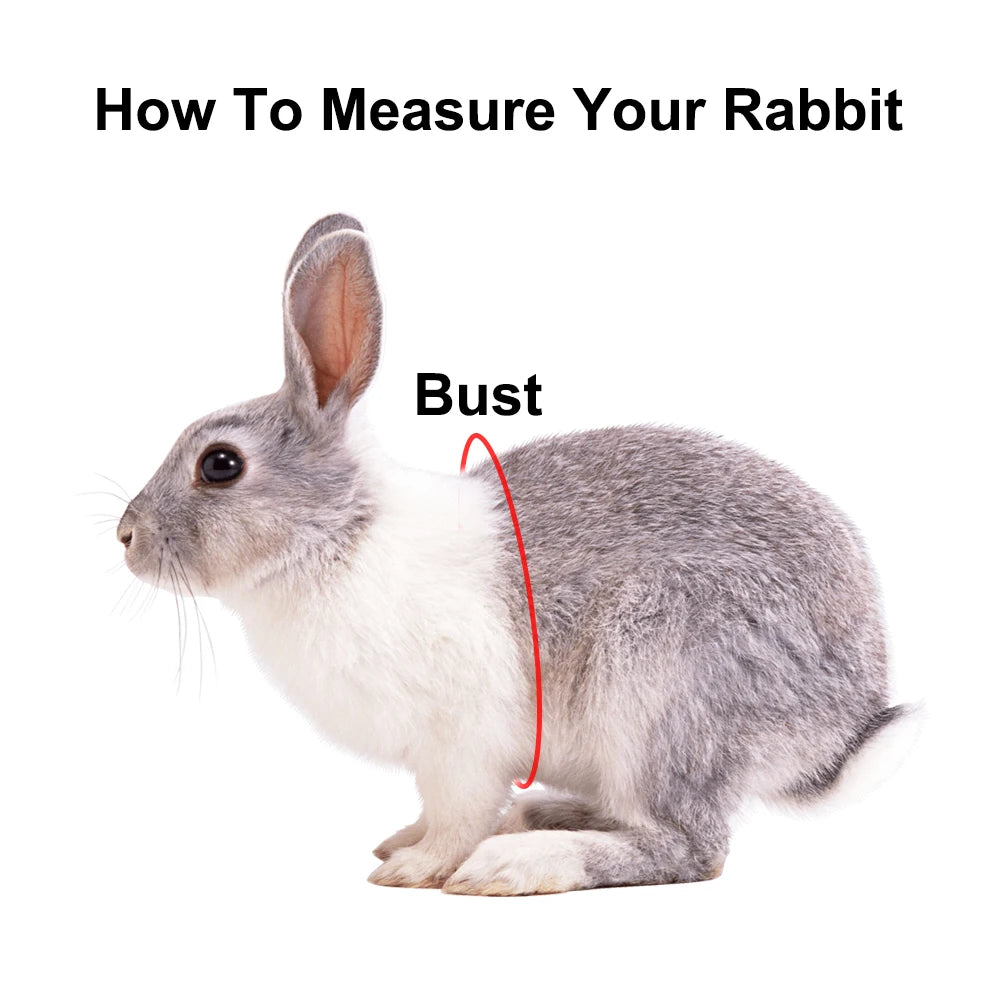 Rabbit Dress-Up Sweater (Costume)