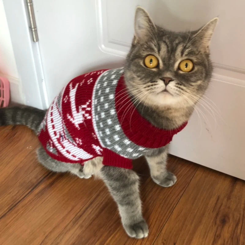Cosy Knit Cat Sweater