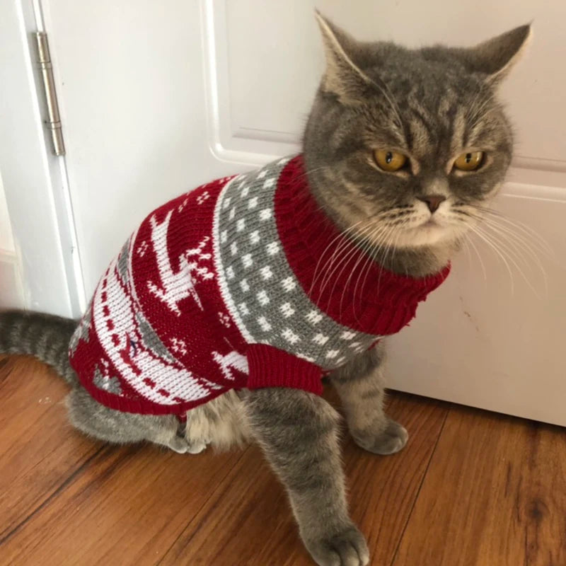 Cosy Knit Cat Sweater