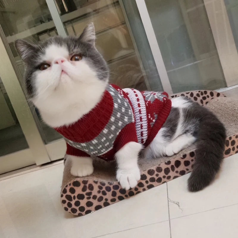 Cosy Knit Cat Sweater