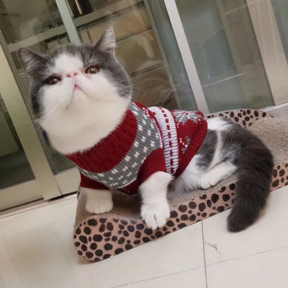 Cosy Knit Cat Sweater