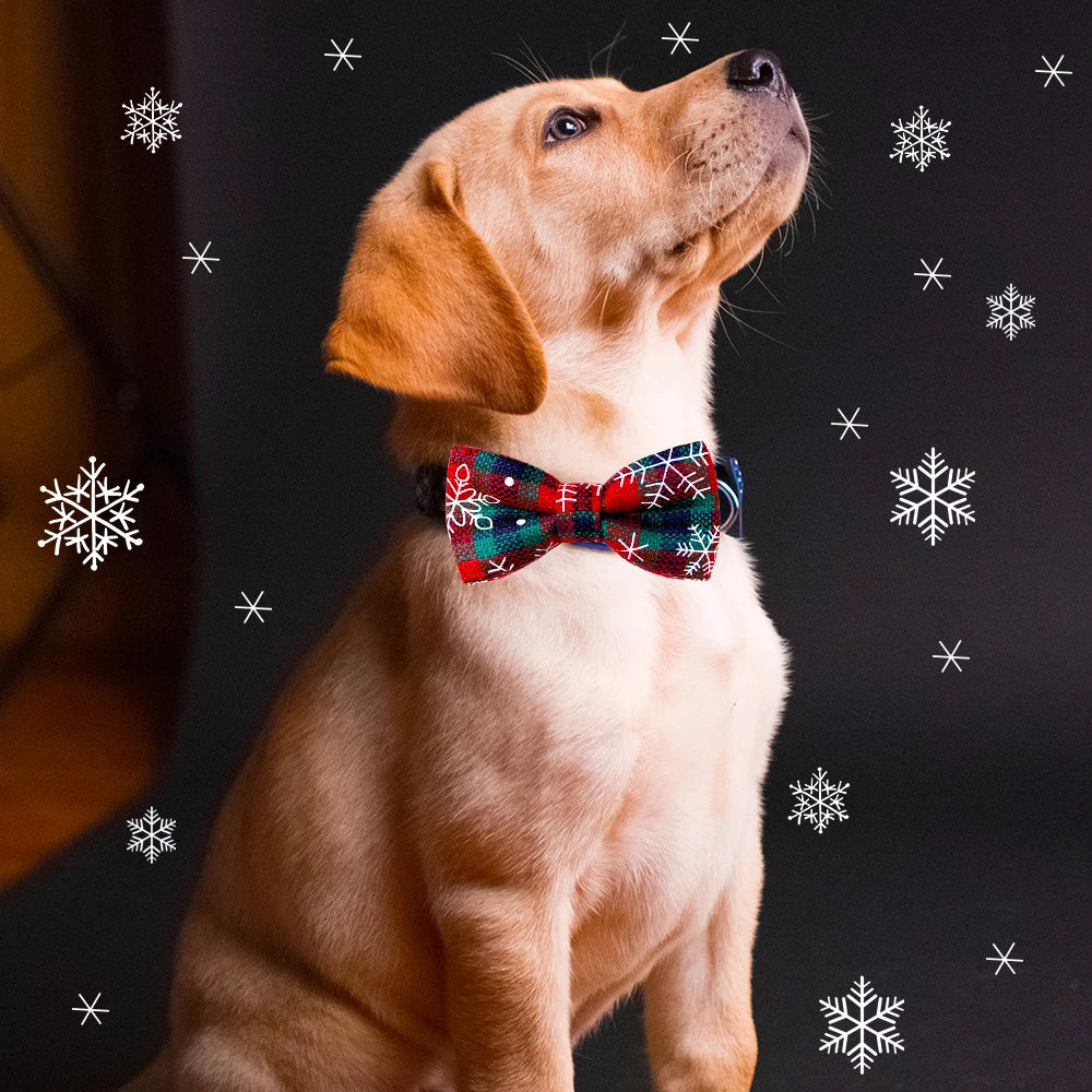 Christmas Dog Bow Ties (Bulk Pack)