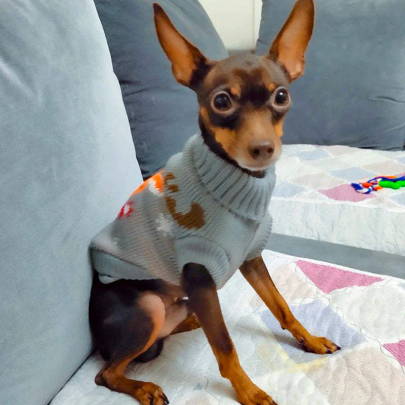Cozy Knit Dog Sweater