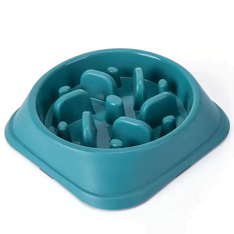 Pet Slow Feeder Bowl Petritzy 