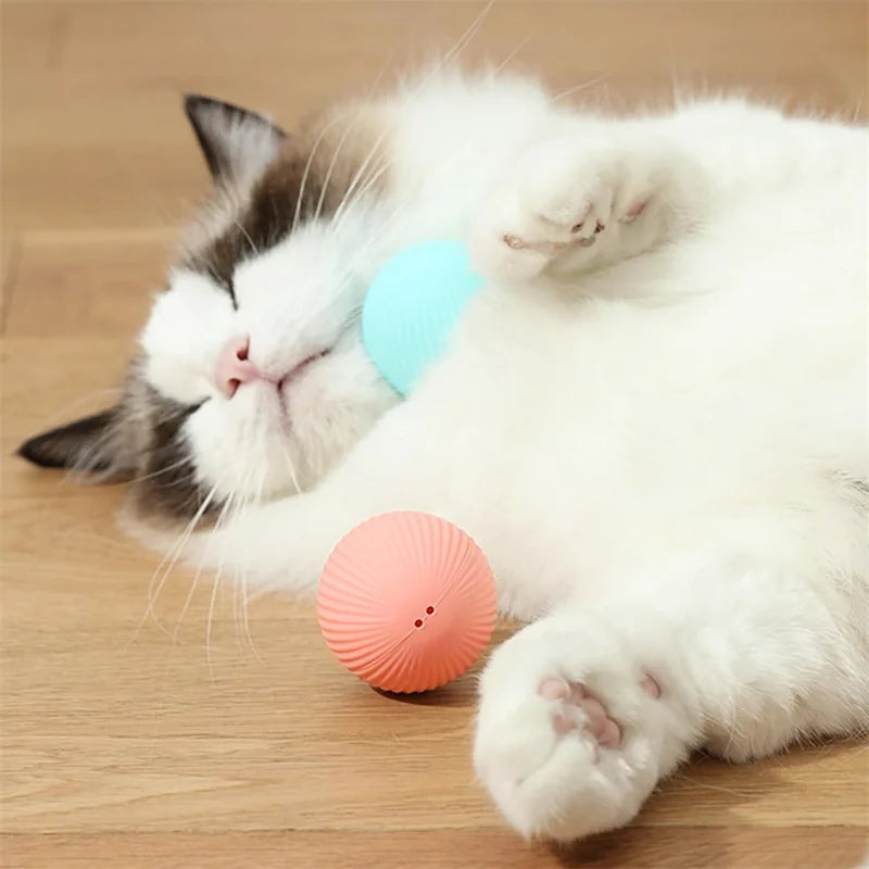 Automatic Rolling Cat Ball