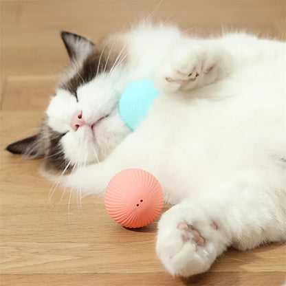 Automatic Rolling Cat Ball