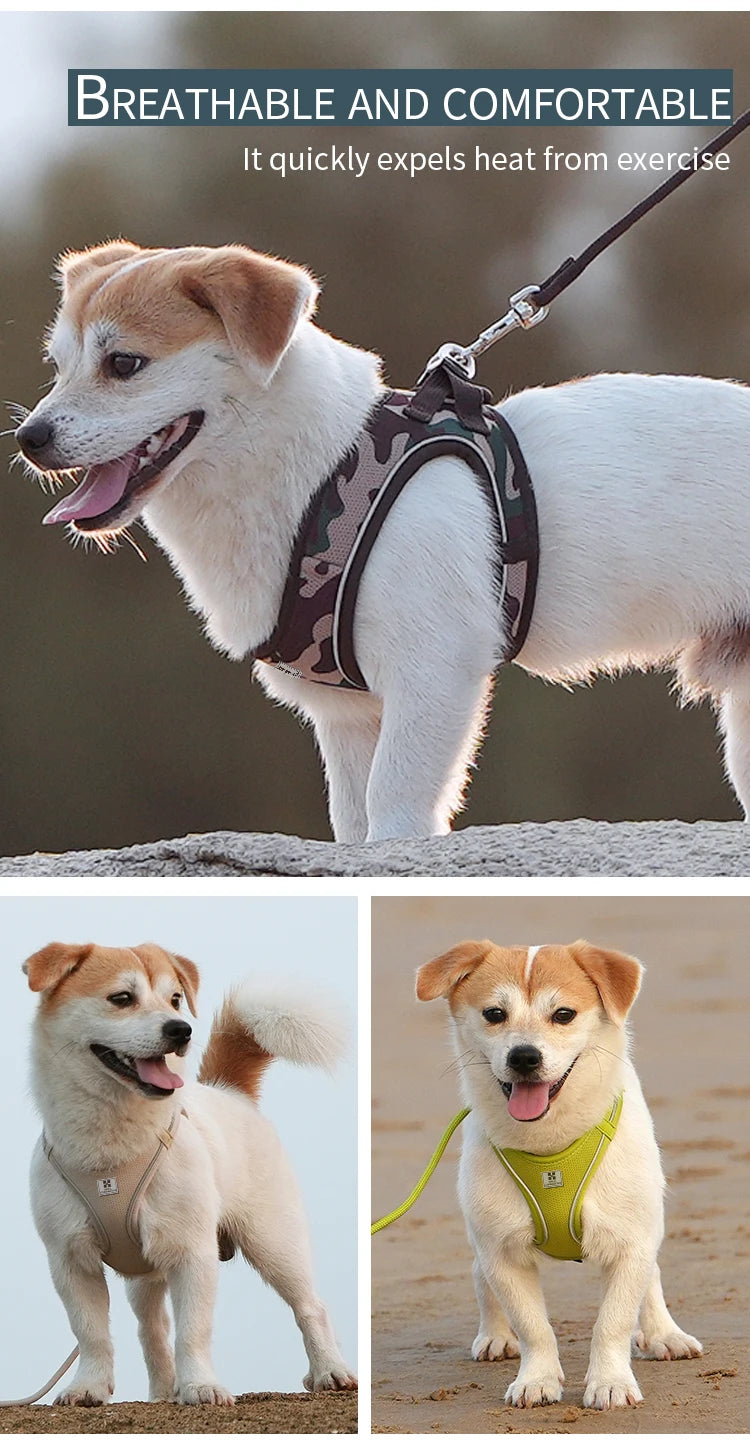Reflective Dog Harness & Leash Set