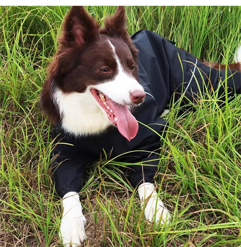 Reflective Dog Raincoat