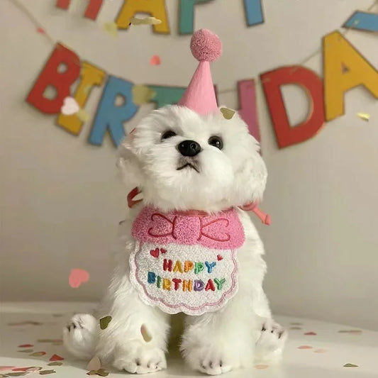 Dog Birthday Hat & Bandana Set