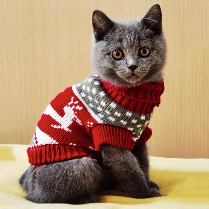 Cosy Knit Cat Sweater