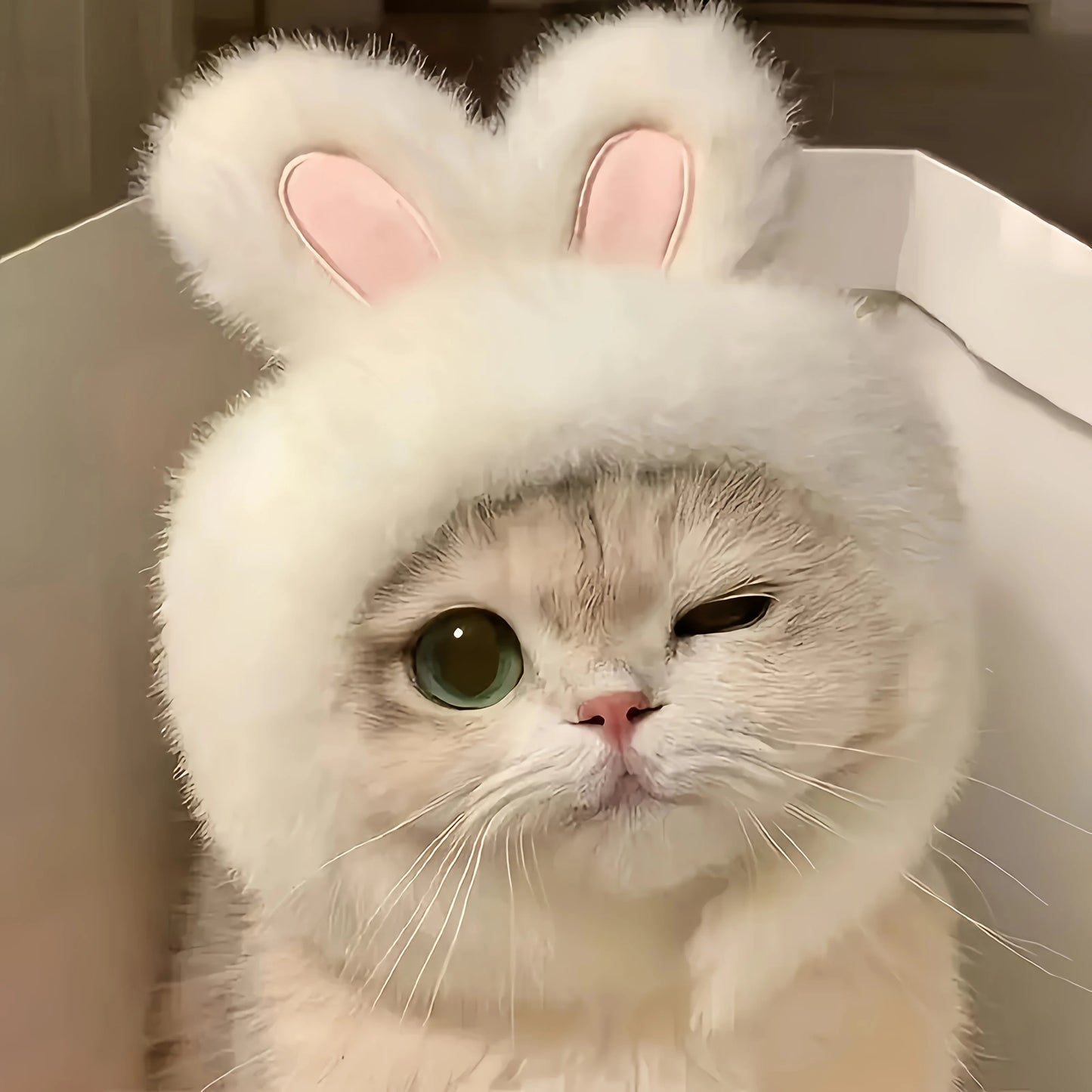 Knit Bunny Ears Hat for Cats & Dogs