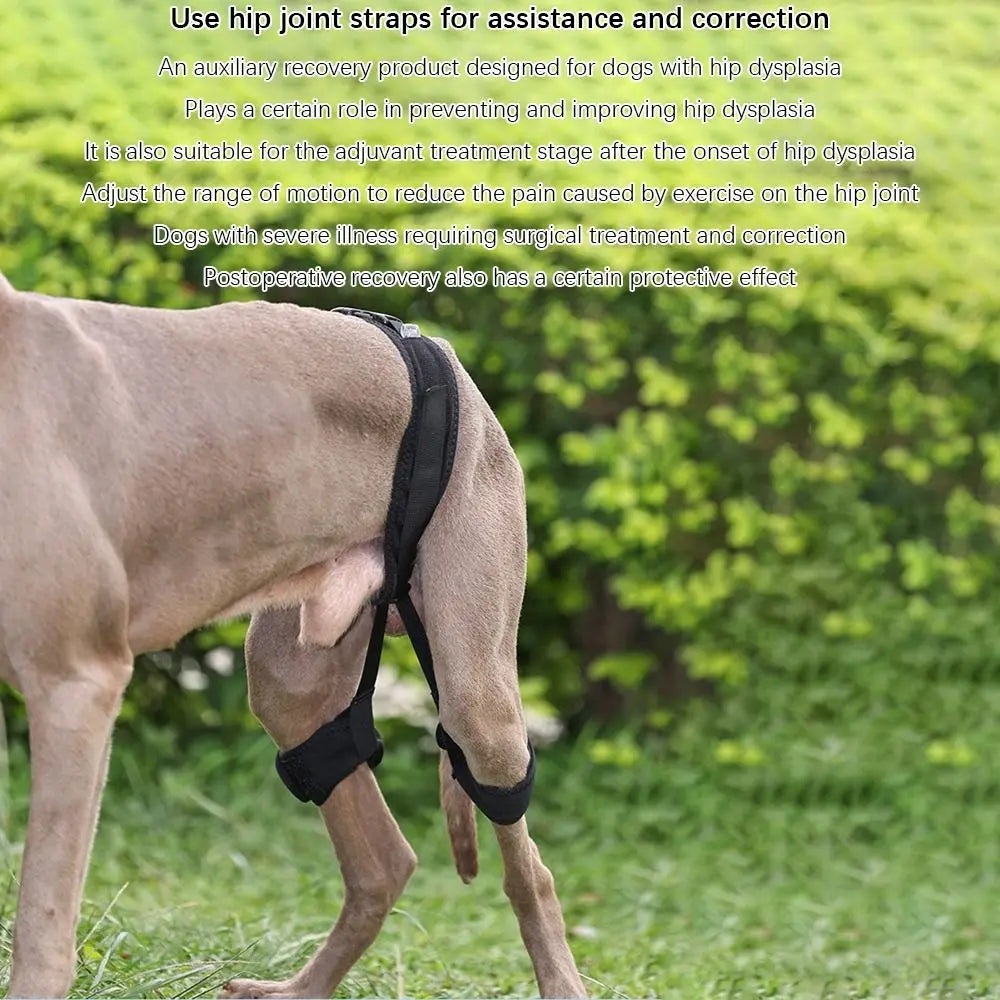 Dog Hip Brace & Hind Leg Support