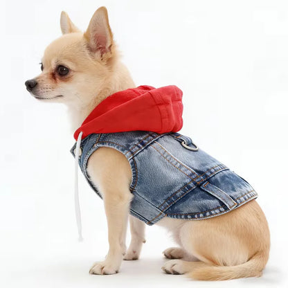 Denim Dog Jacket with Hood