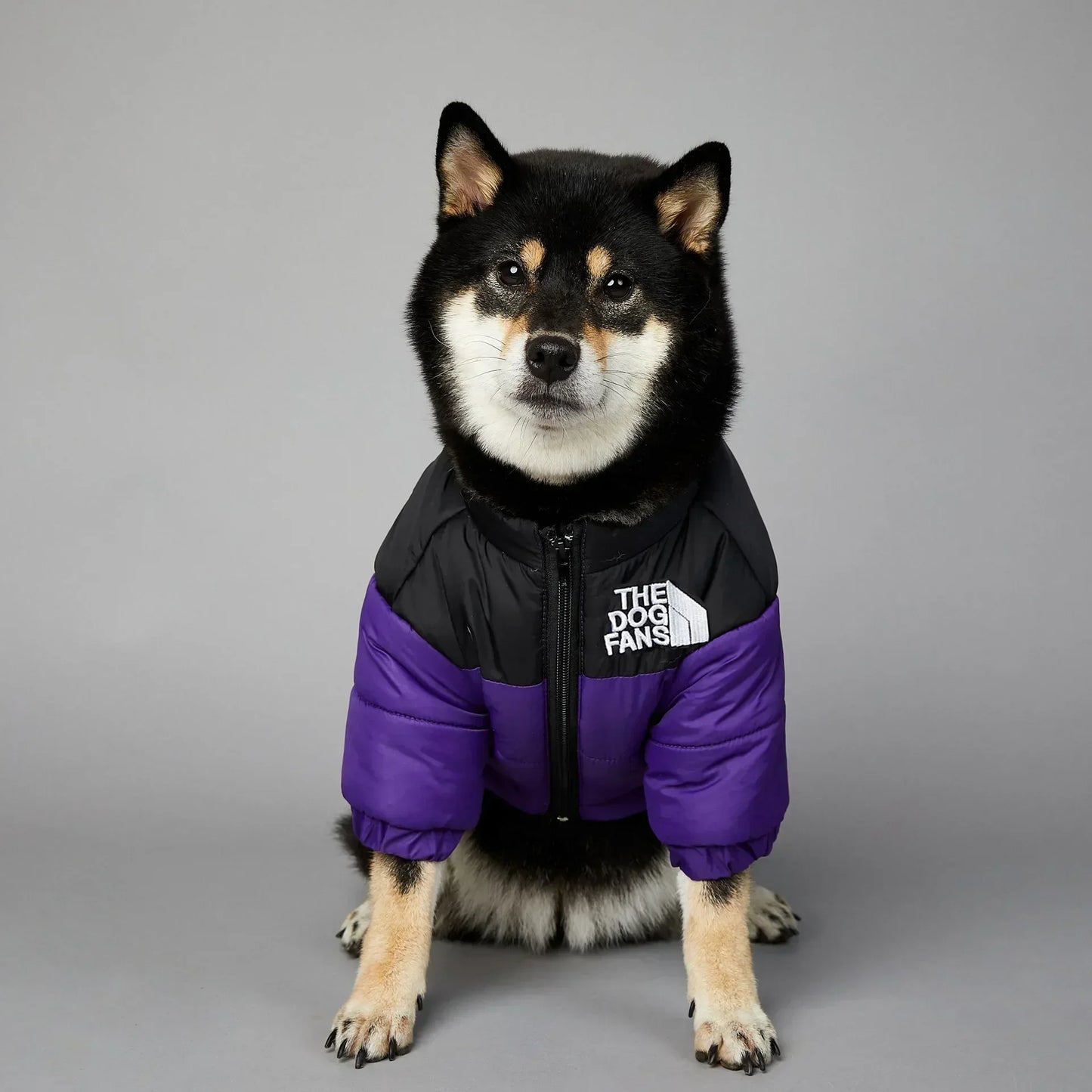 Puppy Down Jacket