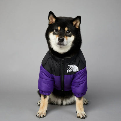 Puppy Down Jacket