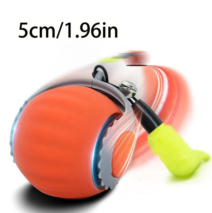 Automatic Rolling Cat Ball