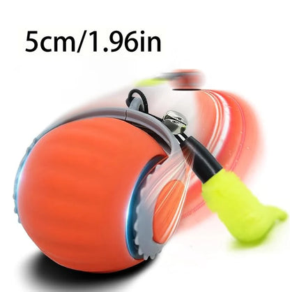 Automatic Rolling Cat Ball
