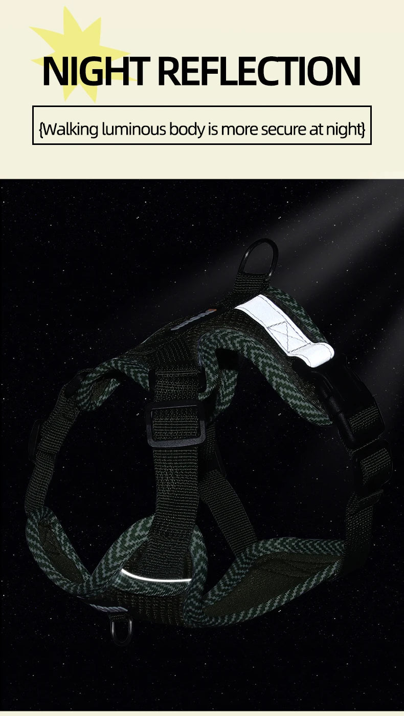 Reflective Mesh Cat Harness & Leash Set