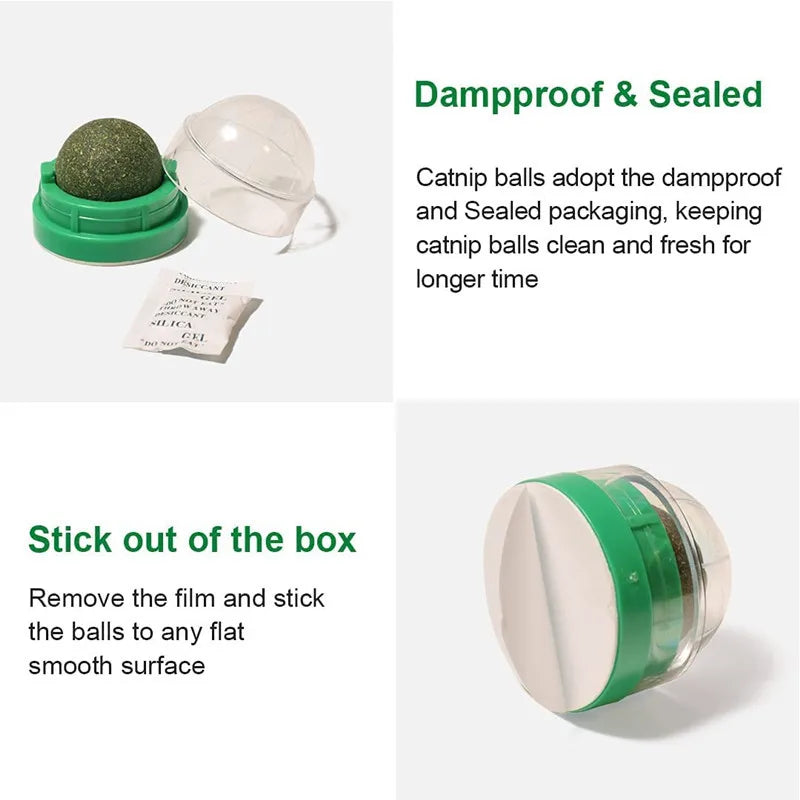 Lickable Catnip Ball Treats
