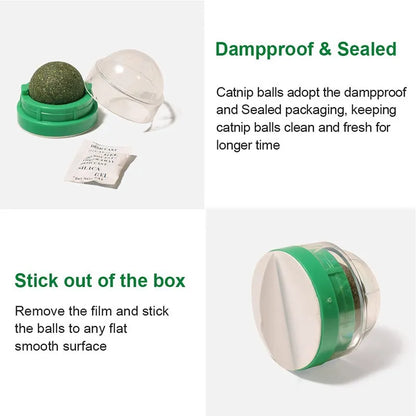 Lickable Catnip Ball Treats