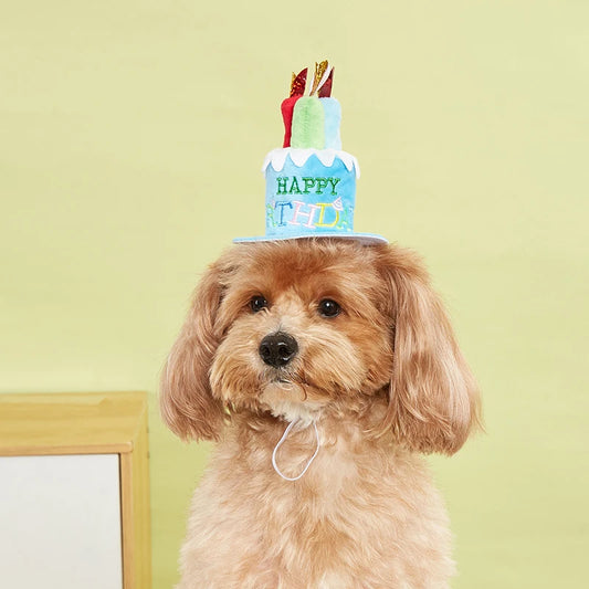Pet Birthday Party Hat
