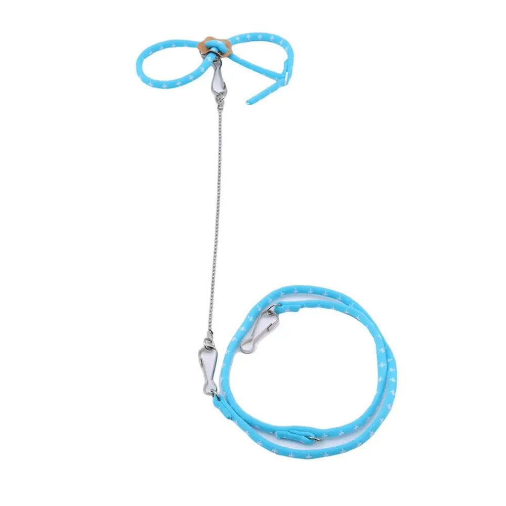 Small Pet Harness & Leash