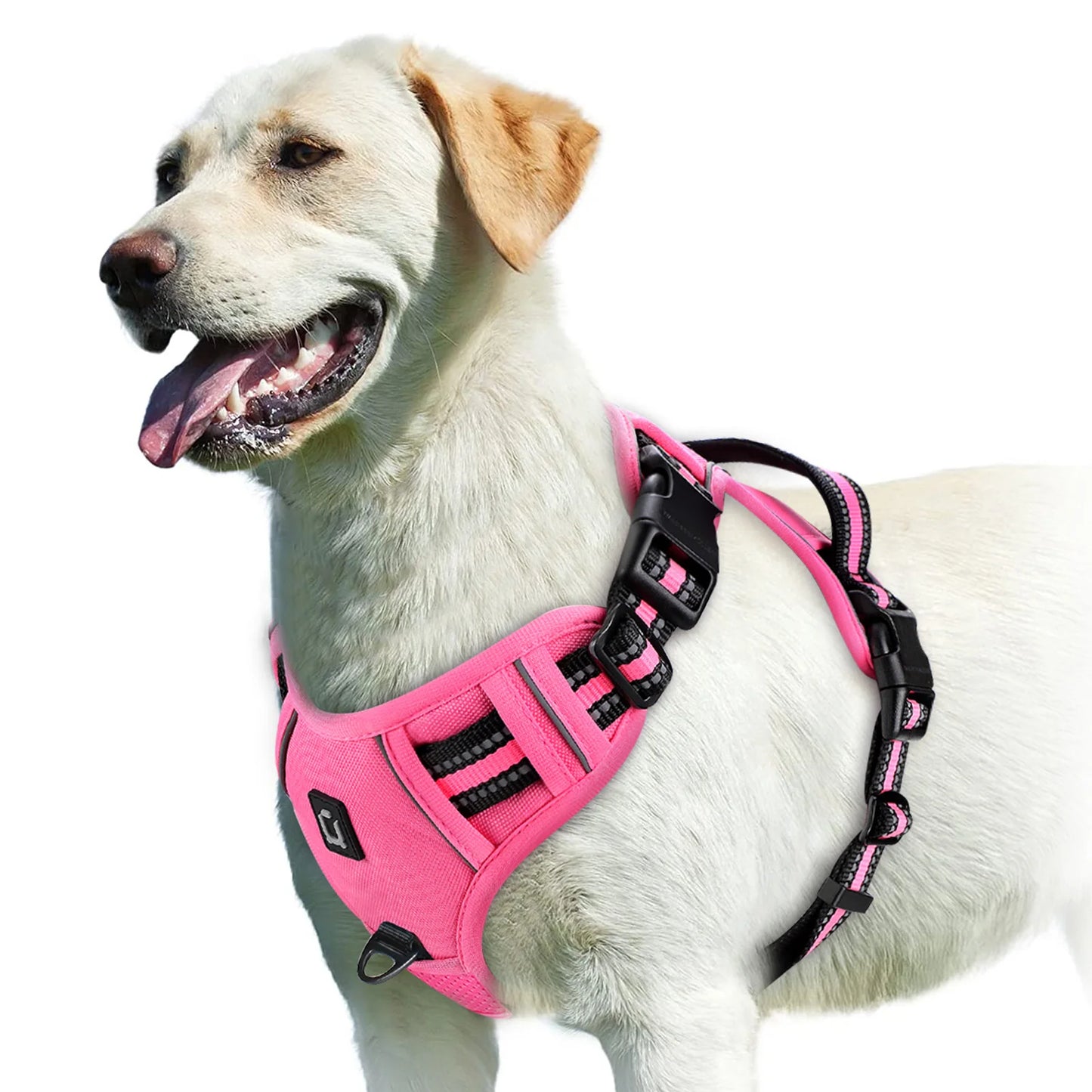 Padded No-Pull Dog Harness