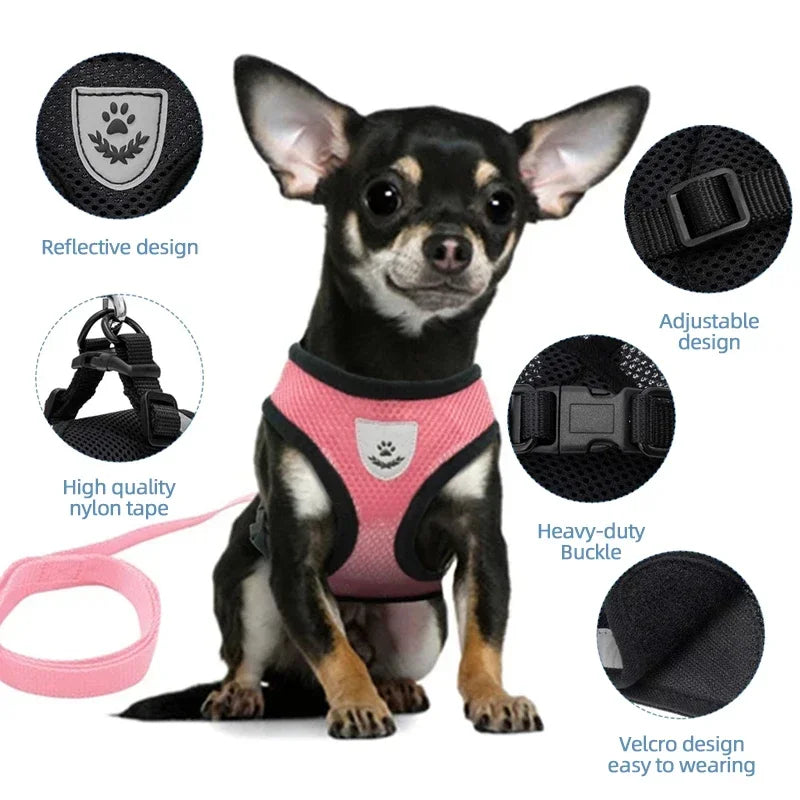 Mesh Cat & Dog Vest Harness Set
