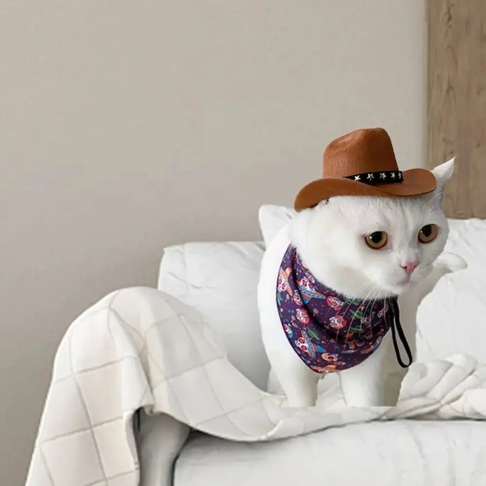 Dog Cowboy Hat