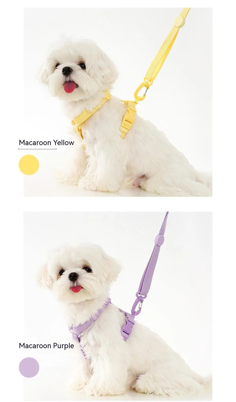 Macaron Dog Harness, Collar & Leash Set
