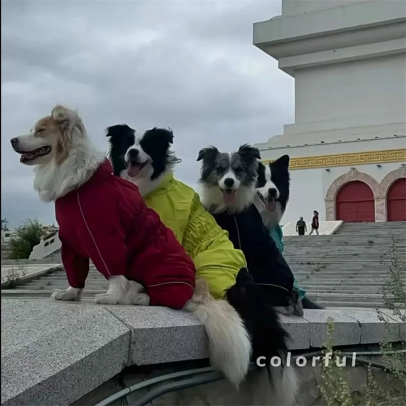 Reflective Dog Raincoat