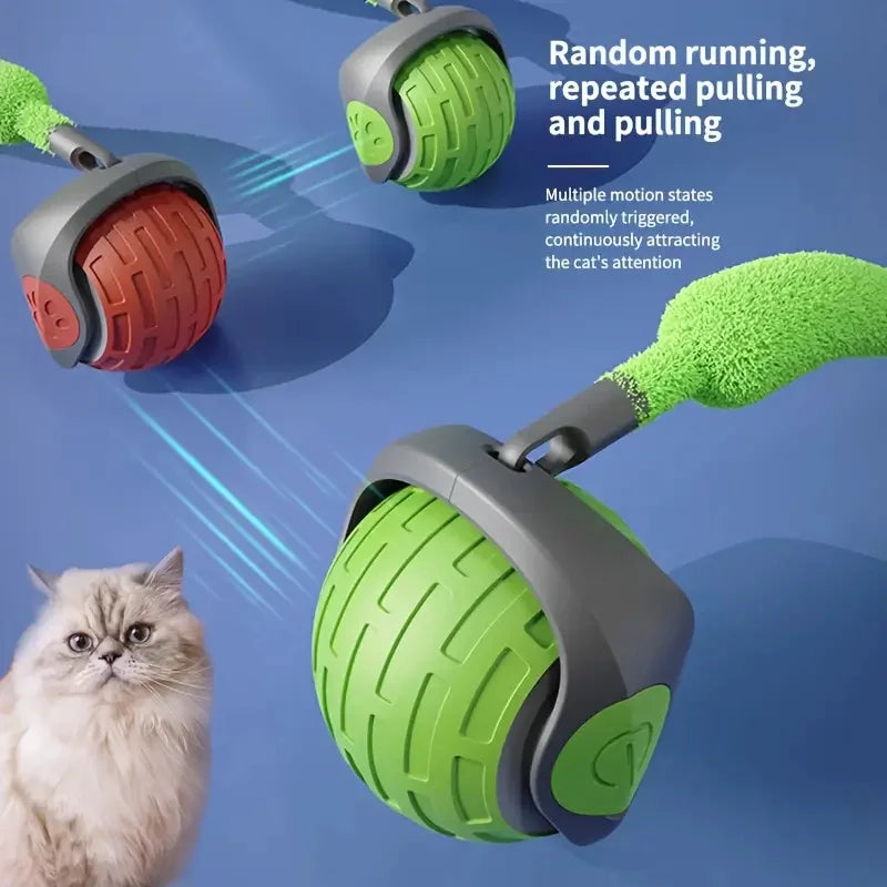 Automatic Rolling Cat Ball
