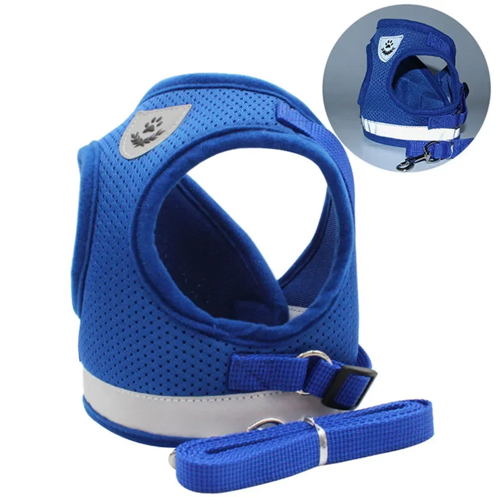 Reflective Escape-Proof Cat Harness Set
