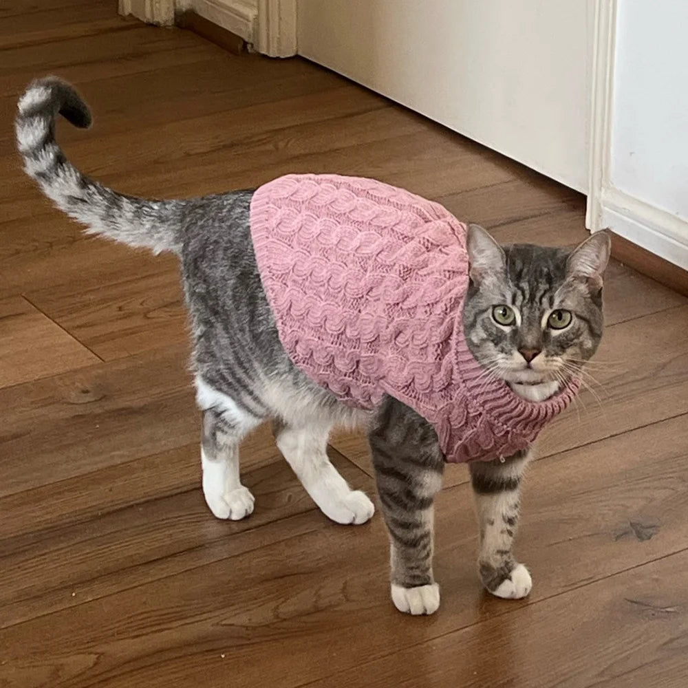 Knitted Sphynx Cat Sweater