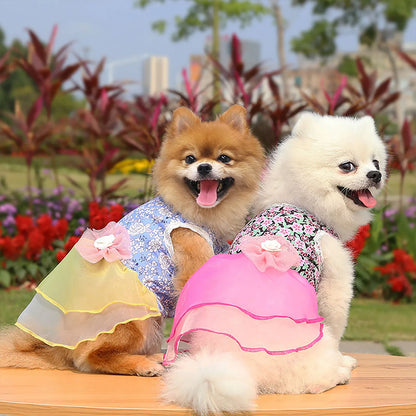 Rose Summer Dog Dress