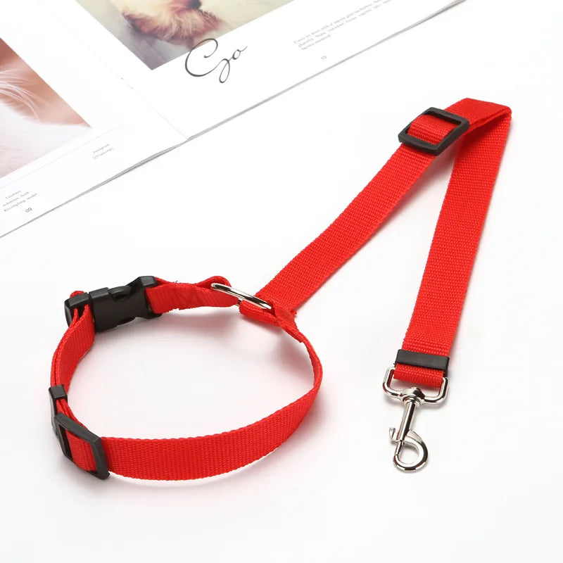 2-in-1 Dog Car Seat Belt & Leash