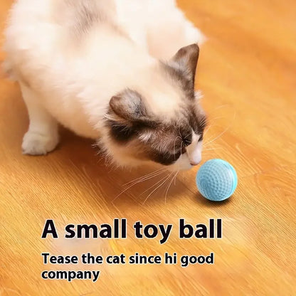 Automatic Rolling Cat Ball