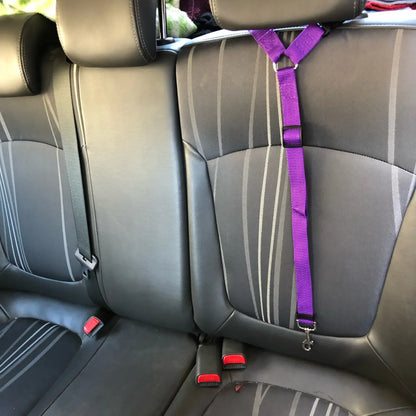 2-in-1 Dog Car Seat Belt & Leash