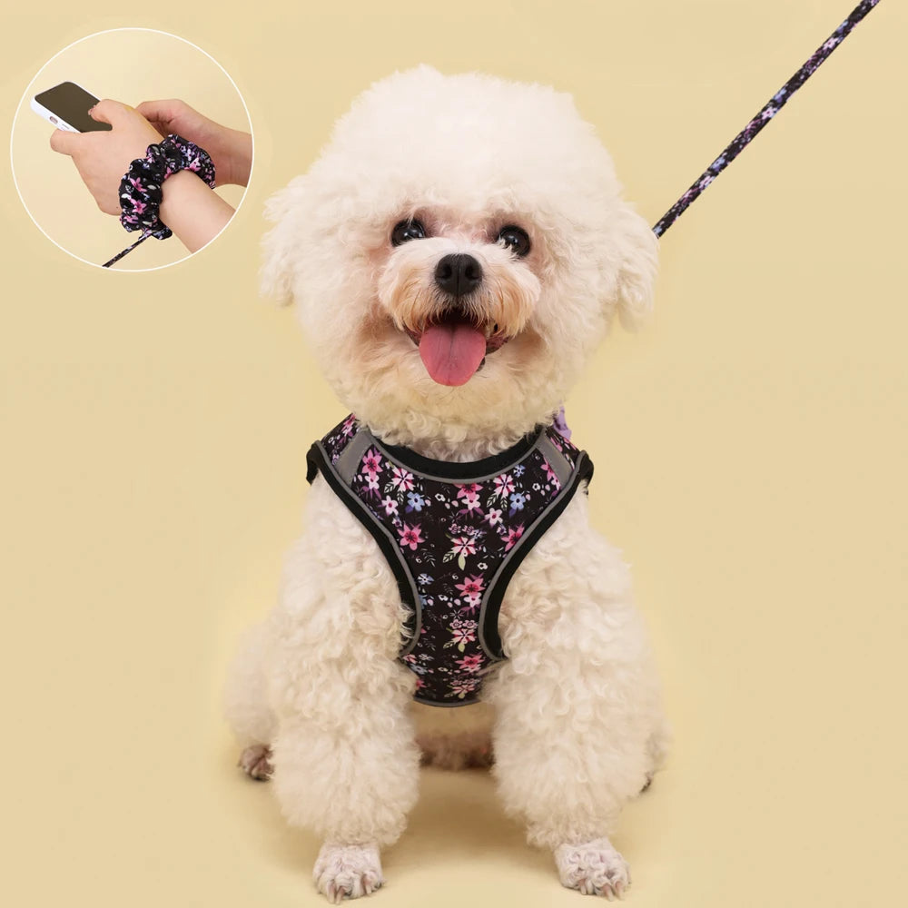 Small Dog Harness & Leash Set
