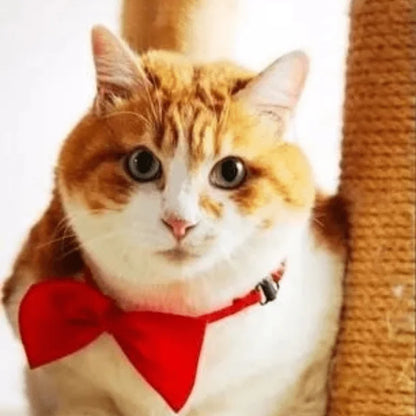 Adjustable Dog Bow Tie Collar
